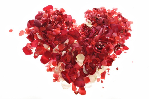 Heart_reduzida (1)